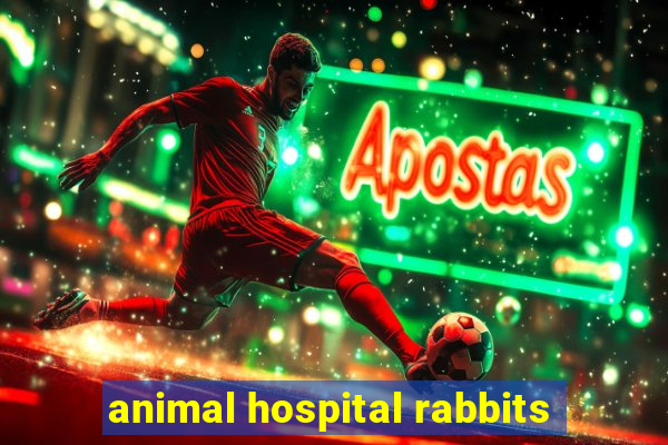 animal hospital rabbits